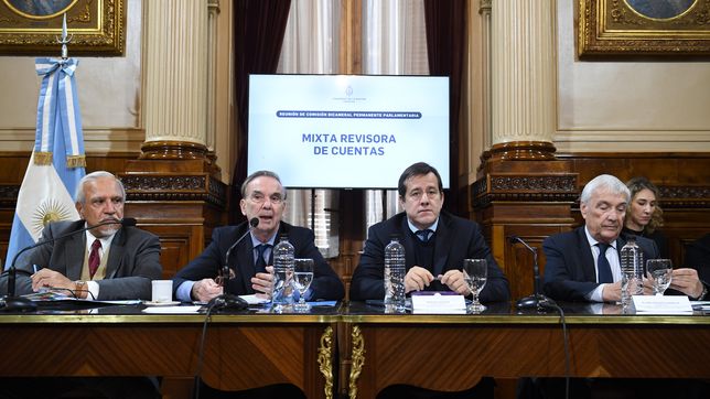 Juan Carlos Romero, Miguel Pichetto, Mariano Recalde y Álvaro González, durante la comisión en la que Milei ayudó a Macri. 