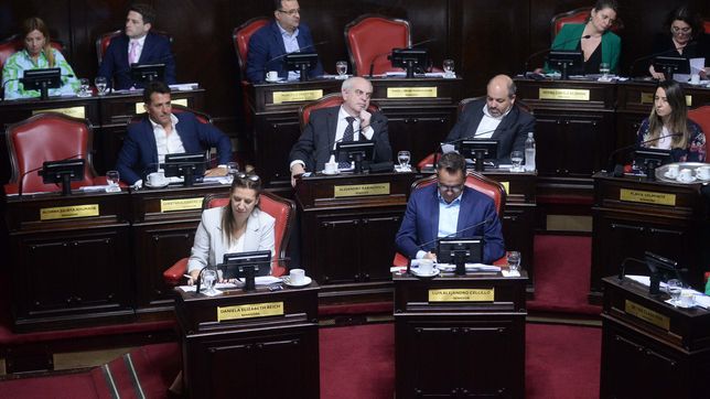 Juntos por el Cambio- Senado.