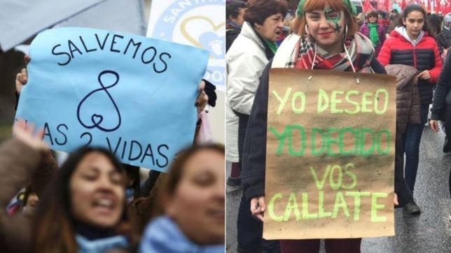 en fotos: el debate por el aborto, adentro y afuera del congreso