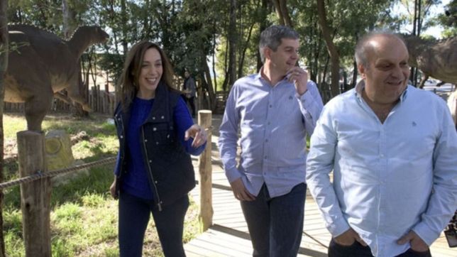 la veda y el gran bonete: la dine culpa al canal de lombardi