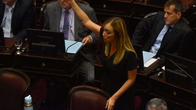 Anabel Fernández Sagasti, senadora kirchnerista. Pedirá la nulidad de la ley ómnibus.&nbsp;