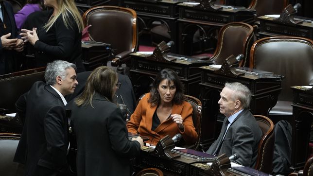Esteban Paulón, Miguel Pichetto y Natalia de la Sota (EF), referentes de la oposición. 