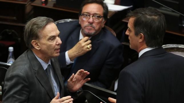 presupuesto: sigue la rebelion en el bloque de pichetto, que resta votos a favor