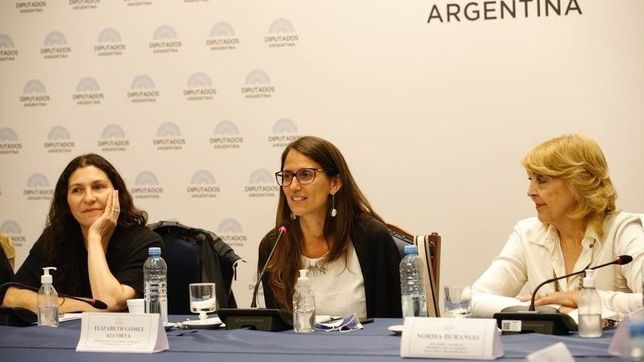gomez alcorta detallo la reforma de la ley contra la violencia de genero