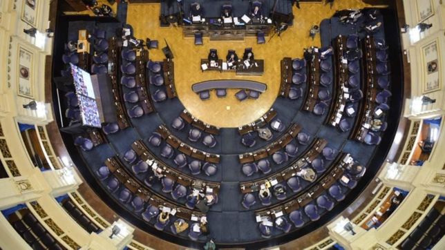 el bloque felino, osama bin secco, santa evita y la goleada de diputados