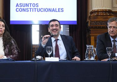 Agustín Coto, durante el plenario de la Comisión de Asuntos Constitucionales del Senado. No se discutieron las PASO.&nbsp;