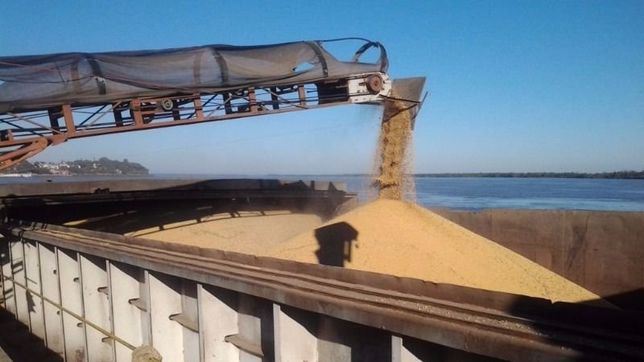 soja-gate: china dejo de comprar aceite argentino y el agro pide explicaciones al gobierno