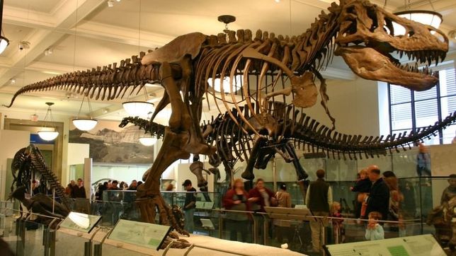 la fundacion petersen eskenazi beco a mas de 80 museologos para capacitacion