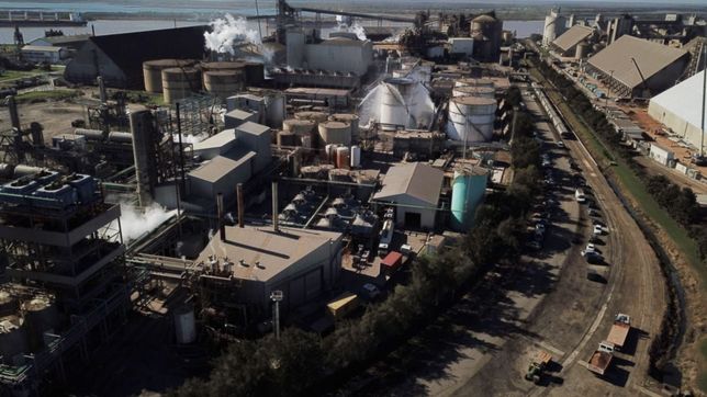 acreedores no saben cuanto vale vicentin y le sacan fichas al concurso