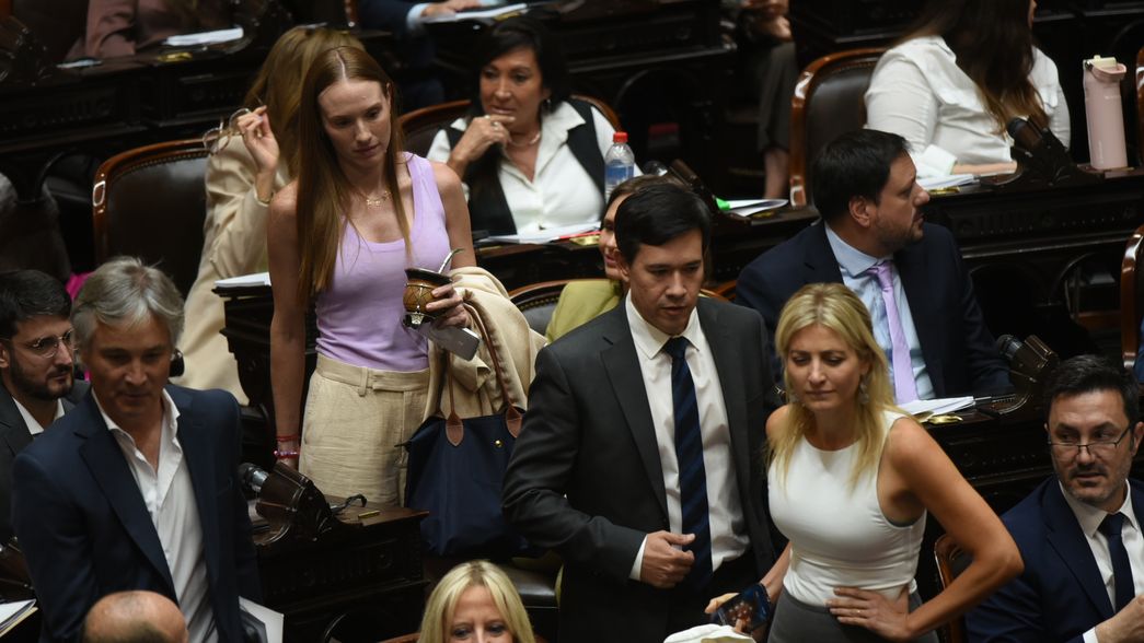 El bloque PRO en Diputados, clave para el Gobierno.&nbsp;