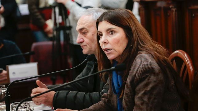 Diario de la Convención de Santa Fe, día 26: Unidos logró un áspero acuerdo para blindar la caja jubilatoria