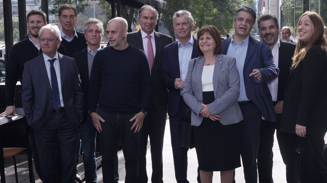 gritos, reproches y reclamos en el pro: cronica intima de un zoom de alto voltaje