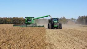 Los productores están en plena cosecha y el gobierno espera que liquiden rápido