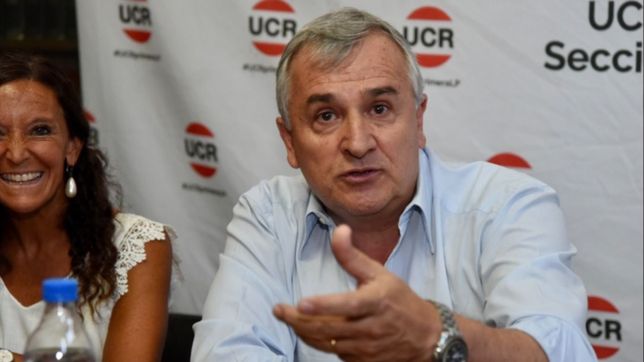 morales postula a manes para la gobernacion bonaerense