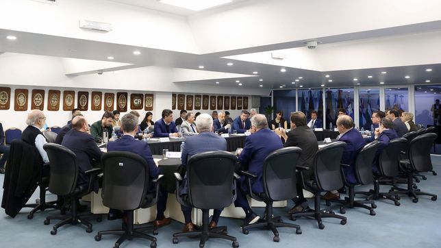 presupuesto 2025: los 23 gobernadores le reclaman a milei por deudas y obra publica