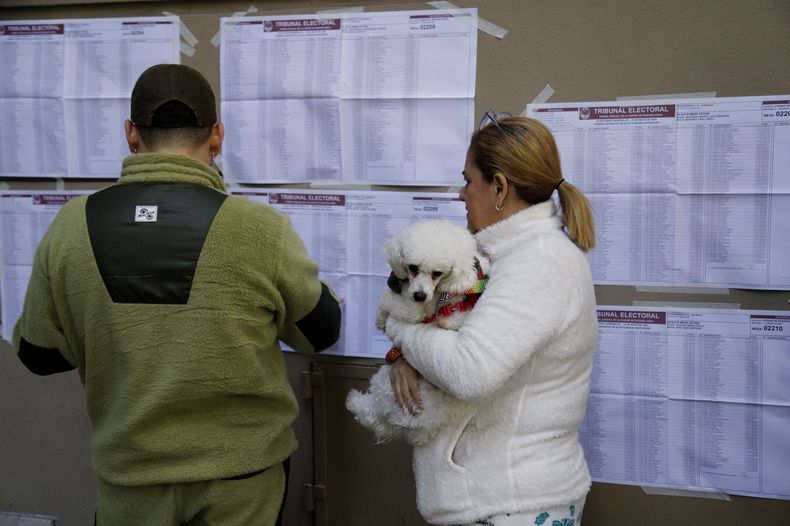 Los perros no votan, pero acompañan.