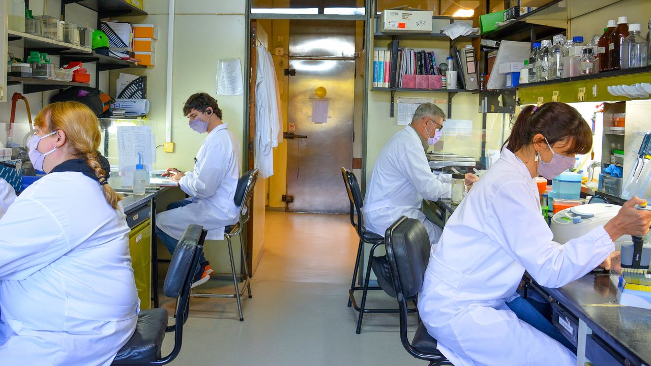 Desmantelamiento y remate en tiempos de anarcocapitalismo libertario