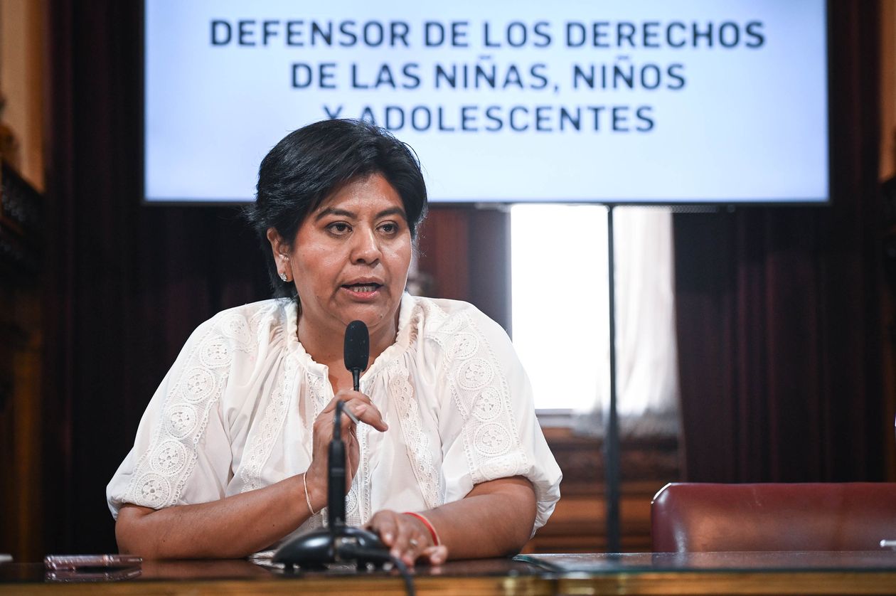 Natalia Sarapura, senadora de la UCR, artífice de la derrota de Javier Milei.&nbsp;