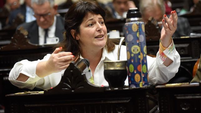 Carolina Gaillard en su banca de diputada. Laboriosa en el Congreso, hoy saca lustre a su cercanía al kirchnerismo para intentar repetir. 