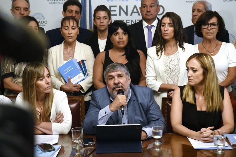 El bloque de Unión por la Patria durante la conferencia sobre el decretazo.&nbsp;