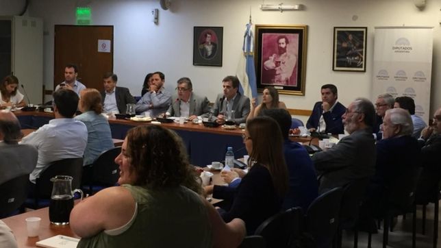 pese a la concesion oficial, la oposicion solo ofrece quorum para las juras