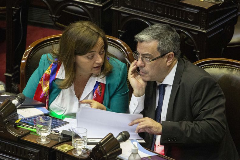 Cecilia Moreau y Germán Martínez, jefe del bloque de Unión por la Patria en Diputados. Cecilia Moreau y Germán Martínez, jefe del bloque de Unión por la Patria en Diputados.