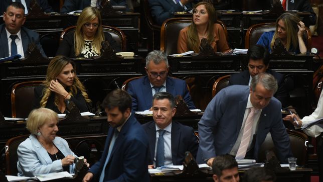 Gabriel Bornoroni, jefe de La Libertad Avanza, el bloque de Javier Milei.&nbsp;