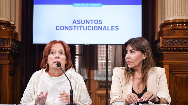 Alejandra Vigo y Sandra Mendoza, durante la comisión que debatió la suspensión de las PASO.&nbsp;