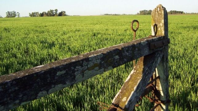 denuncian ?abusos? en el inmobiliario complementario: aumentos del 400%