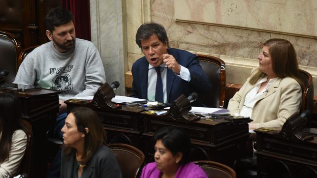 Facundo Manes, diputado del bloque UCR.