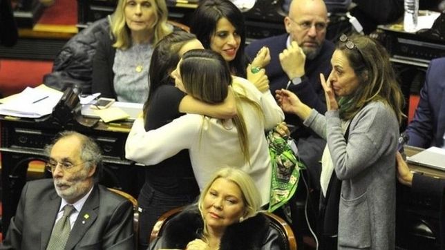 aborto legal: asi fue la historica votacion en diputados