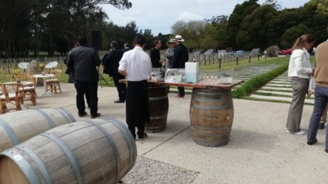 rosca en asado bodeguero, la chance de vidal y el mito del voto que no voto