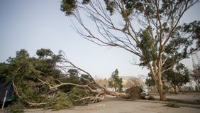 un temporal azoto comodoro y levanto polvareda en la previa de los comicios en chubut un temporal azoto comodoro y levanto polvareda en la previa de los comicios en chubut