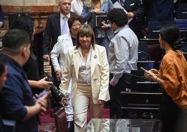 Patricia Bullrich, en el Senado.&nbsp;