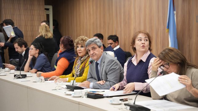 El diputado Pablo Yedlin, durante el debate en comisión. La oposición no pudo proteger al Garrahan. 