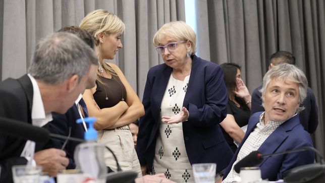 Silviana Giúdici, de La Libertad Avanza, negocia las leyes de Javier Milei.&nbsp;