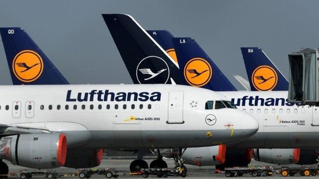 como es el proyecto vallejos de ingreso light del estado a empresas asistidas