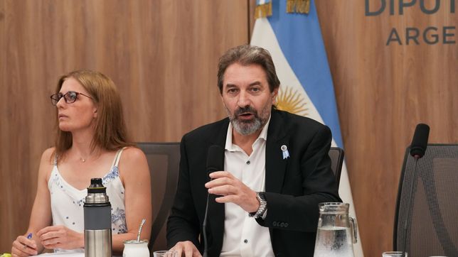 Pablo Carro, diputado de Unión por la Patria, durante el debate sobre el rol de Javier Milei en el LibraGate.&nbsp;
