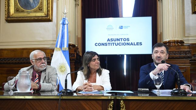 Juan Pagotto (LLA), Mariana Juri (UCR) y Edgardo Kueider (UF), durante el debate del proyecto de Boleta Única. Juan Pagotto (LLA), Mariana Juri (UCR) y Edgardo Kueider (UF), durante el debate del proyecto de Boleta Única.
