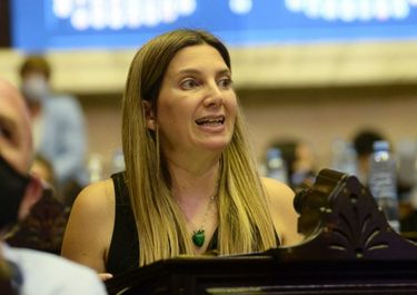 Silvia Lospennato, diputada del PRO, autora del proyecto de Ficha limpia que apoyó el Gobierno.&nbsp;