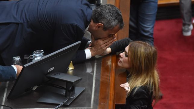 Martín Menem habla con Lilia Lemoine.