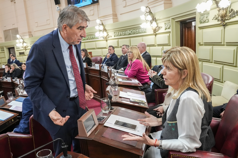 Diario de la Convención de Santa Fe, día tres: después de un show de chicanas, se definieron las comisiones