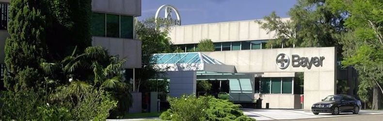 Bayer