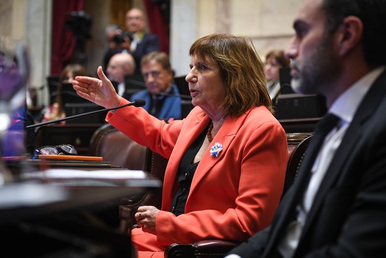 Patricia Bullrich empuja una ley a medida de las grandes cerealeras.