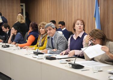 El diputado Pablo Yedlin, durante el debate en comisión. La oposición no pudo proteger al Garrahan. 