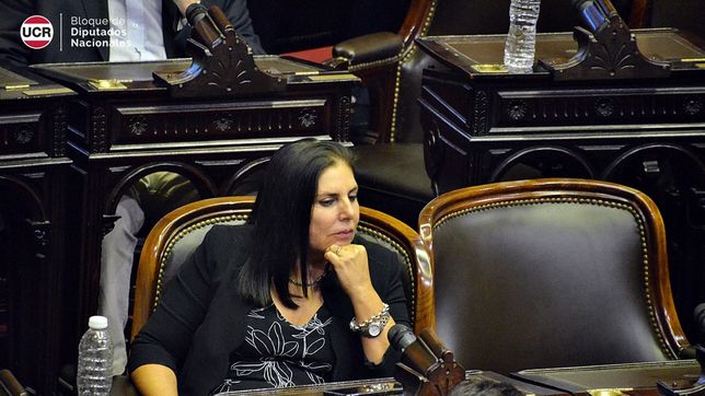 La actual diputada nacional Gabriela Lena encabezará el bloque de diputados provinciales de Juntos por el Cambio en Entre Ríos.