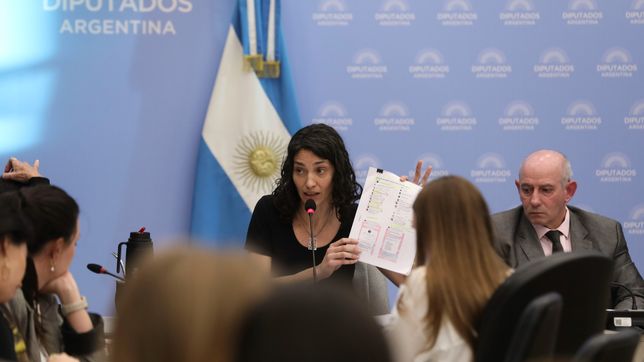 Paula Penacca (UP), intentó sin éxito avanzar en una sanción a la tropa de La Libertad Avanza.&nbsp; 