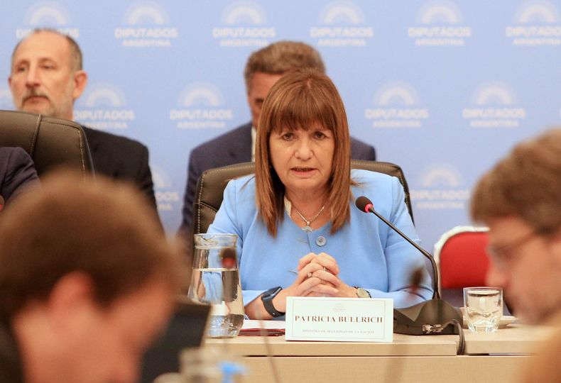 Patricia Bullrich durante su exposición en comisiones de Diputados (FOTO: NA). Patricia Bullrich durante su exposición en comisiones de Diputados (FOTO: NA).