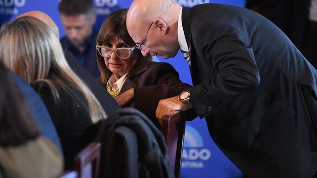 Patricia Bullrich, en el Senado.&nbsp;