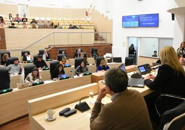 El javkinismo hizo su parte y consiguió su ordenanza antilavado
